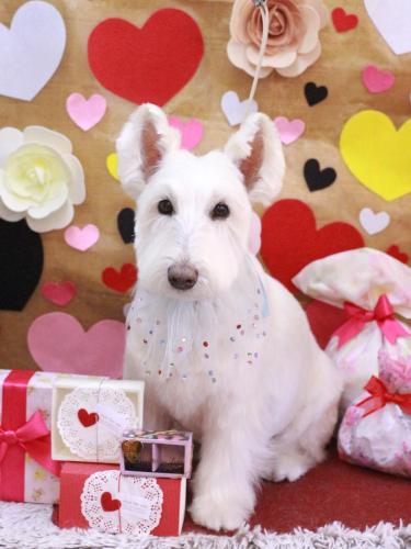 20230223ムーミンくん